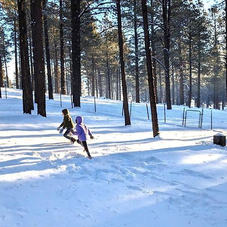 Close To Williams, Flagstaff, Grand Canyon And Sedona Exterior foto