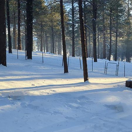 Close To Williams, Flagstaff, Grand Canyon And Sedona Exterior foto