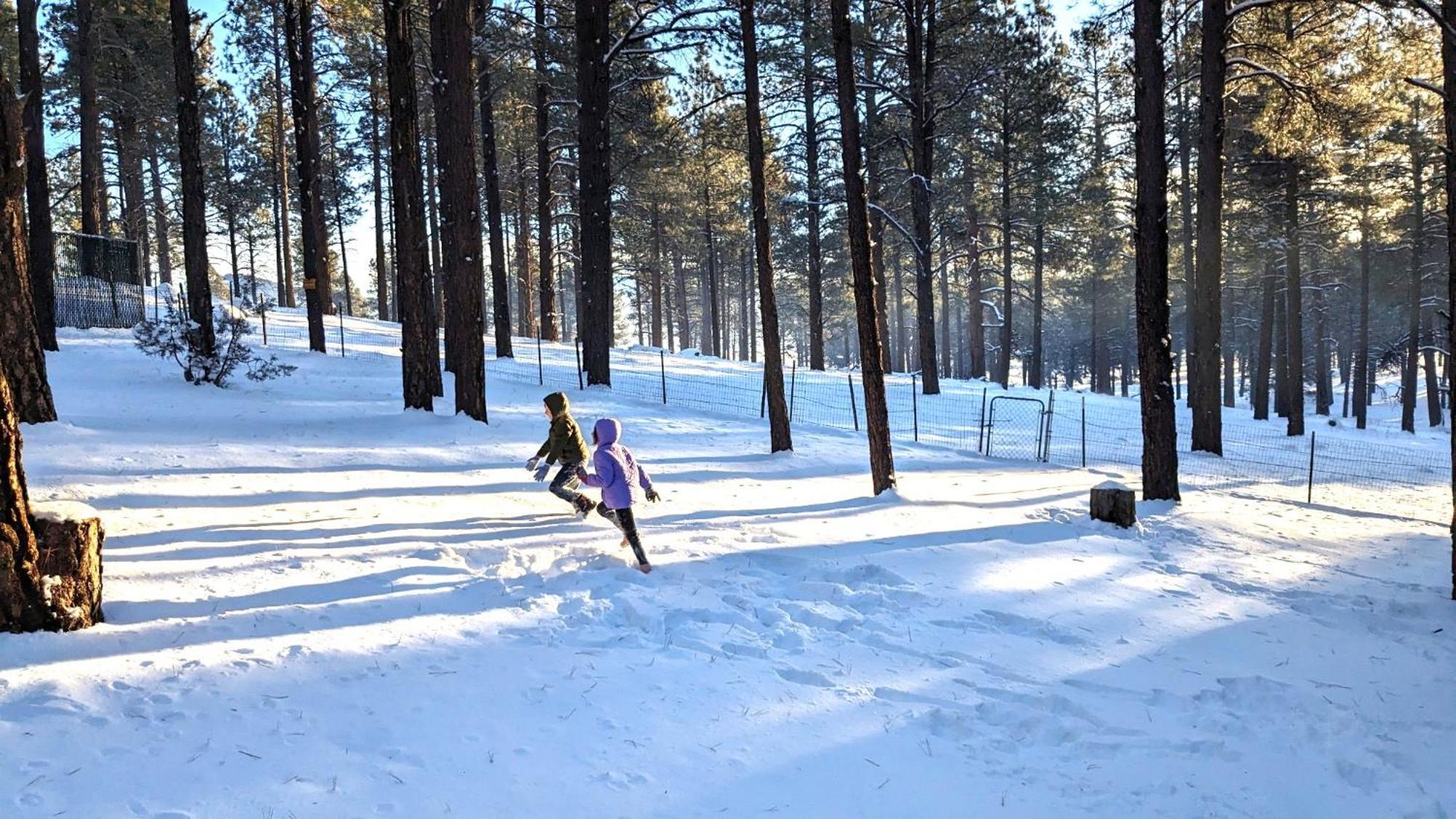 Close To Williams, Flagstaff, Grand Canyon And Sedona Exterior foto