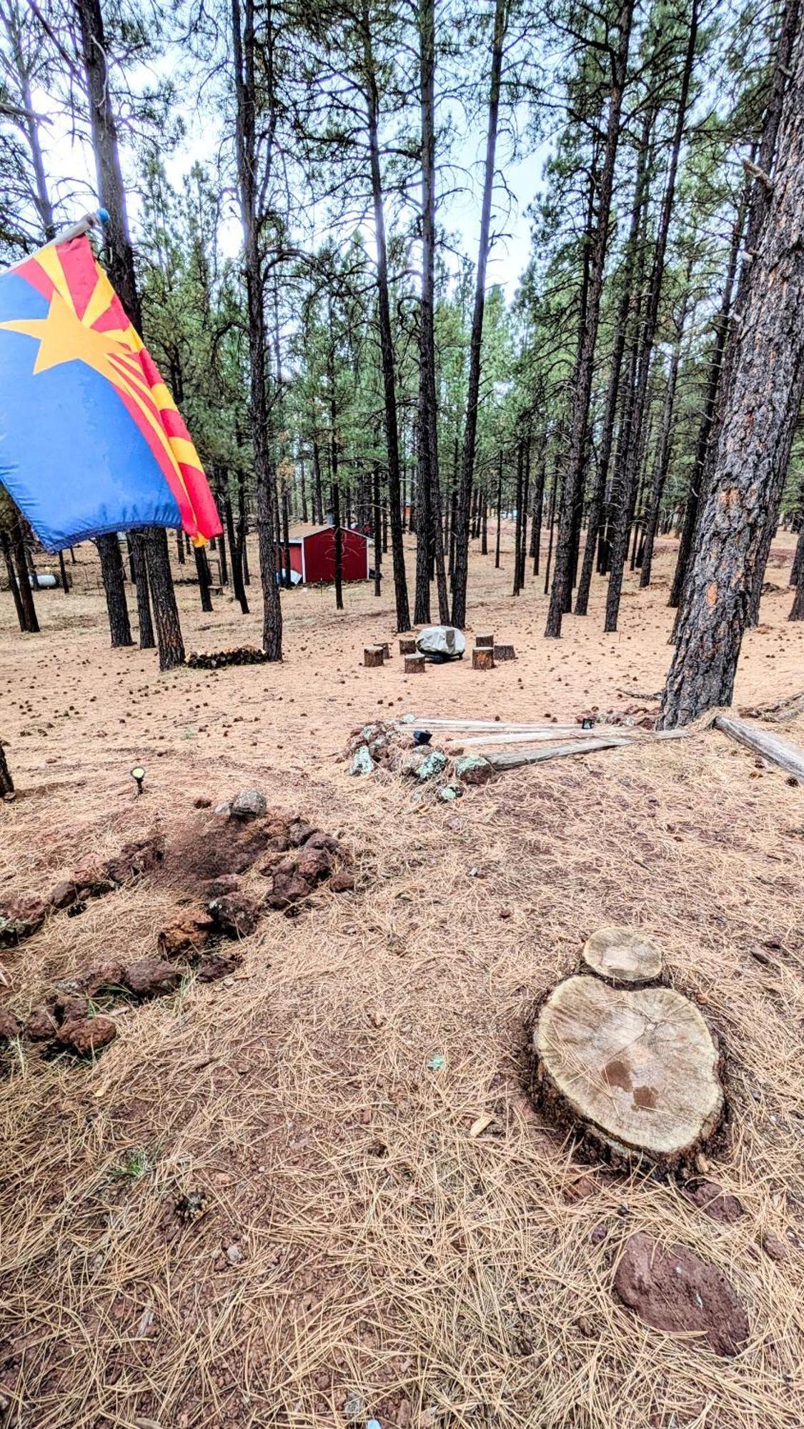 Close To Williams, Flagstaff, Grand Canyon And Sedona Exterior foto